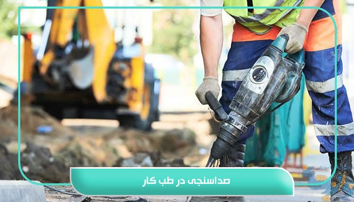 صداسنجی در طب کار